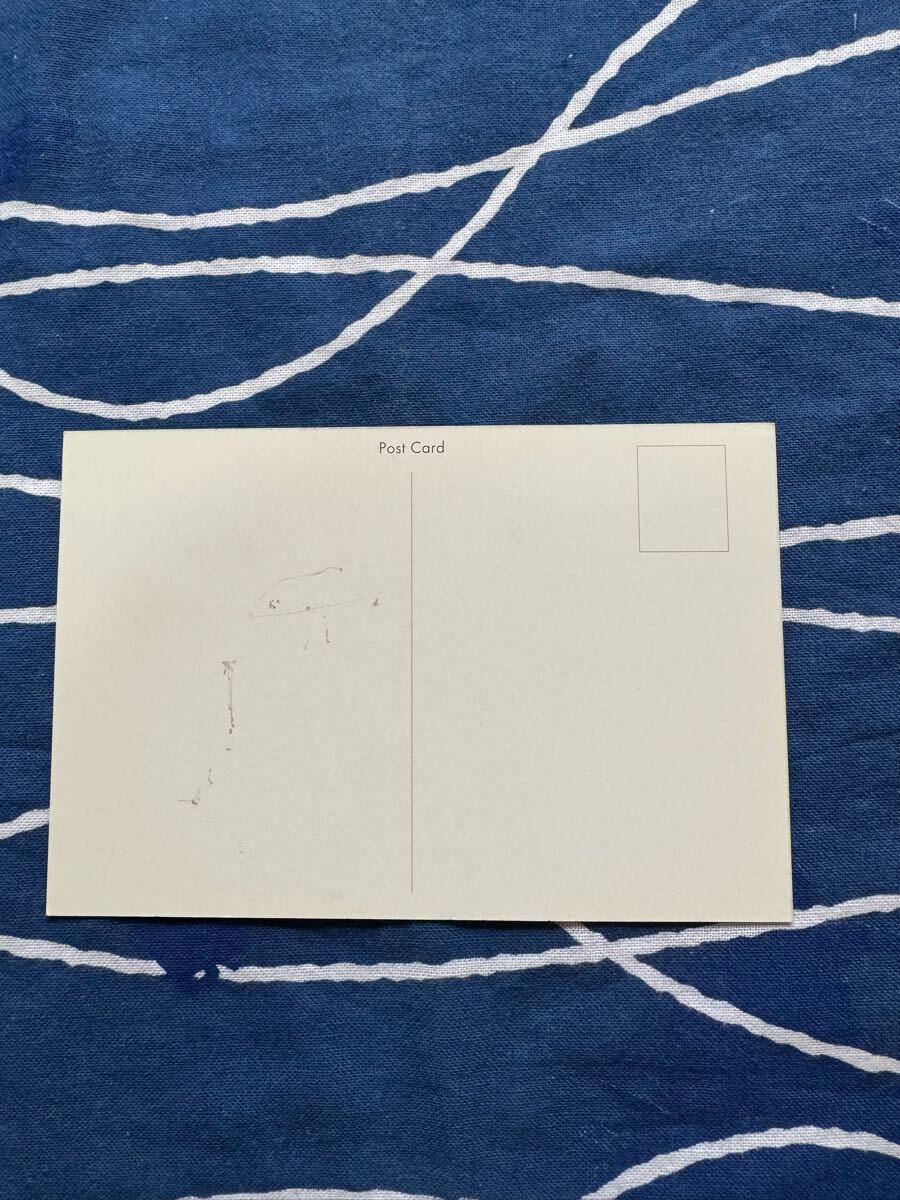 ݥ󡡥ȥߡݥȥɡpokemon tomy post card_2