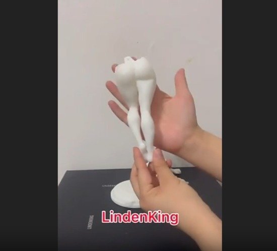 1/6  ꡼ ȥ꡼ȥե  ȥåver 31cm 쥭 ץǥ 졼å ̤ ̤Ω_4
