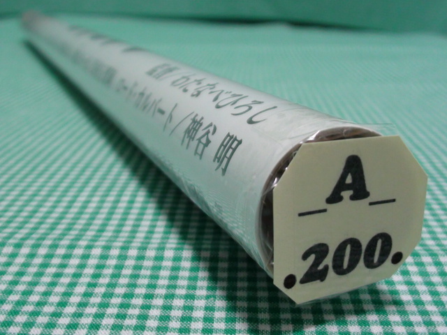 A200쥤䡼1998㤹ˡ!!B2Ǳǲݥ좣餤ߤ뤤ǢʢѢͭ_10