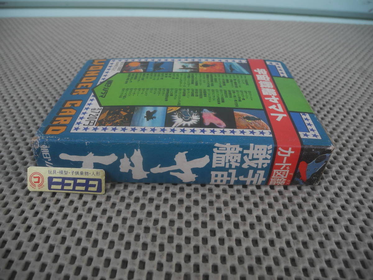 ϥޥ ɿ޴ 륫顼 WONDERCARD_5