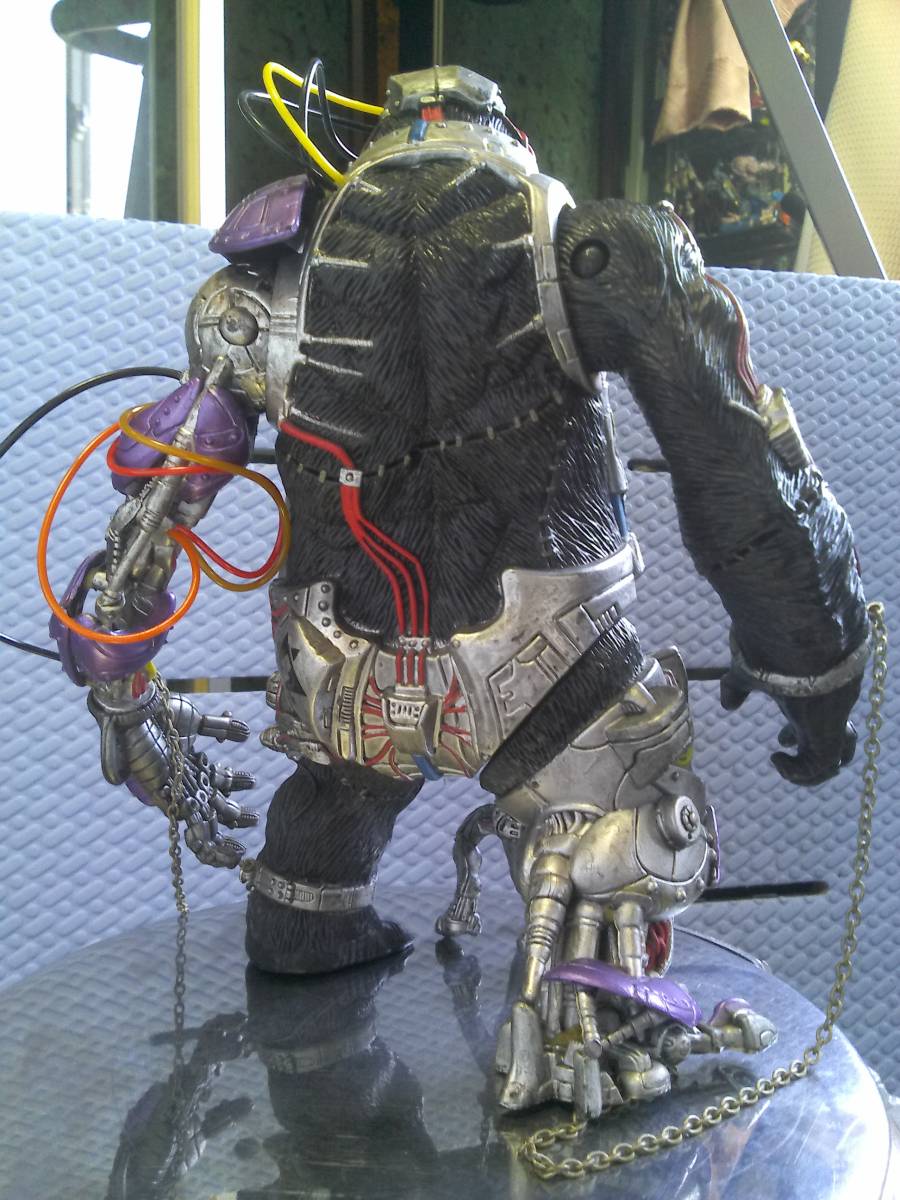 DX CY-GOR 2_10
