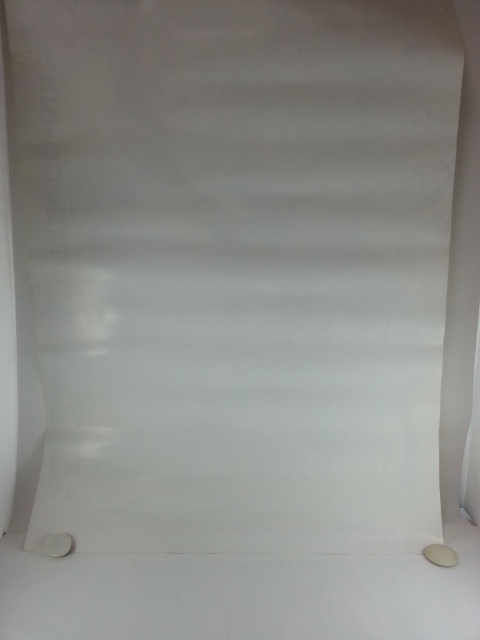 󥺥֥쥤  ݥ ¥ ˥ TCG ˥ _10