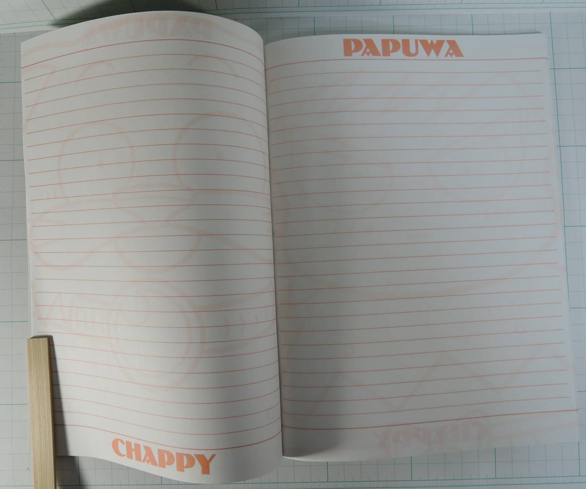 B04ǯѥץ勞ߤΡȢİ/PAPUWA̤_3