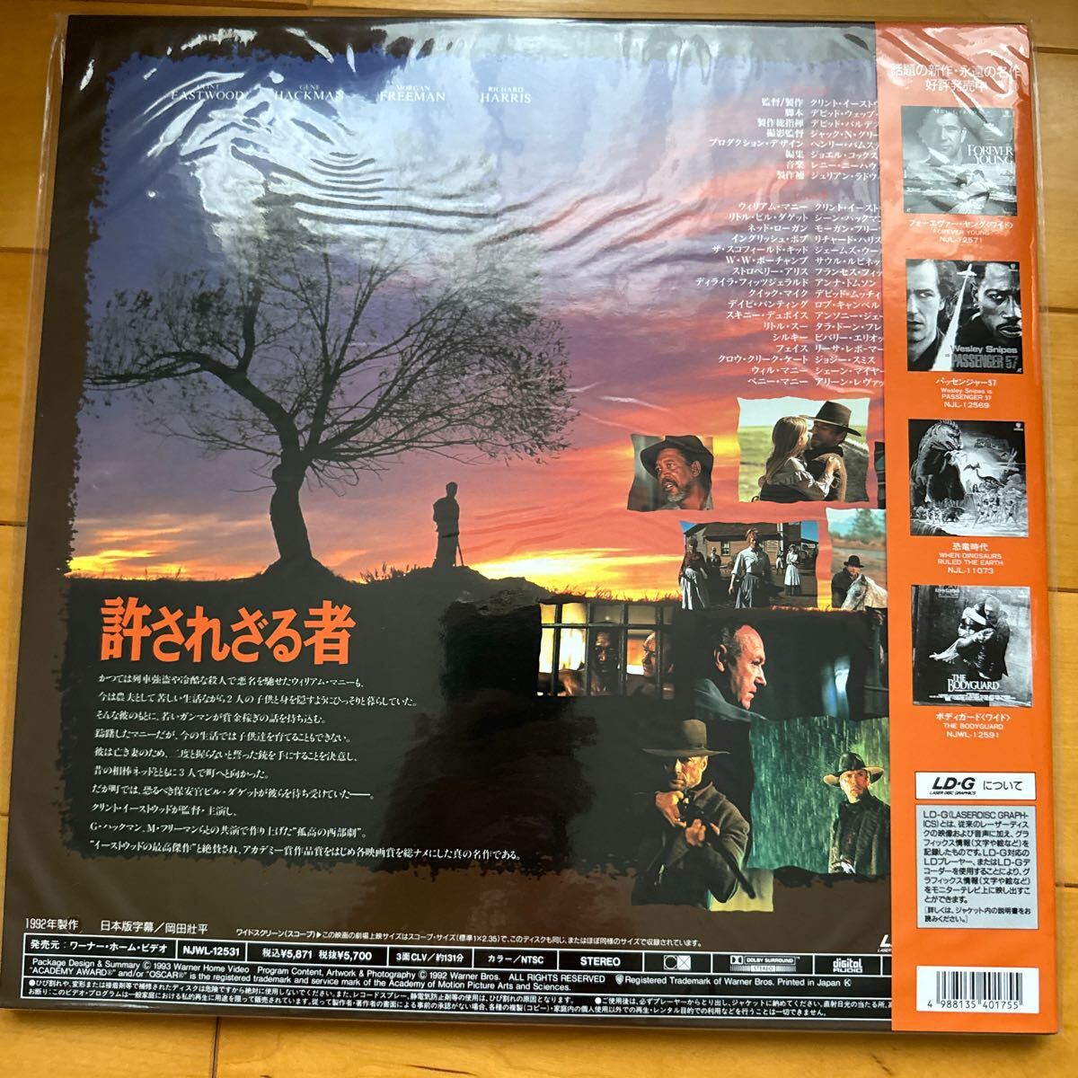 ̤줶ԡ졼ǥ_2