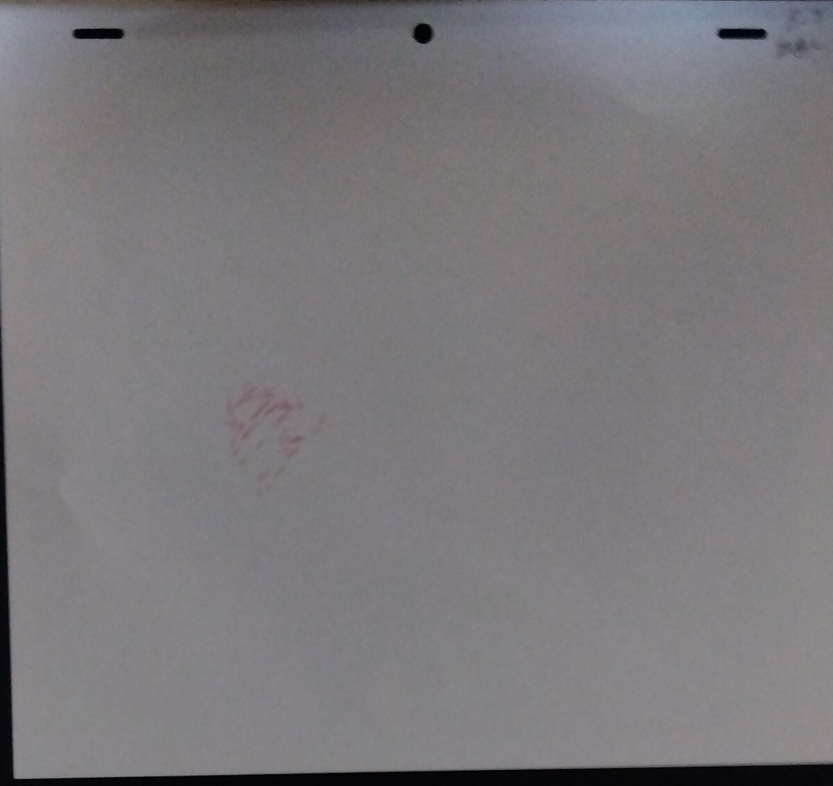 HUNTERHUNTER,ʥꥢ(ǯڳߵ),ưB5_4