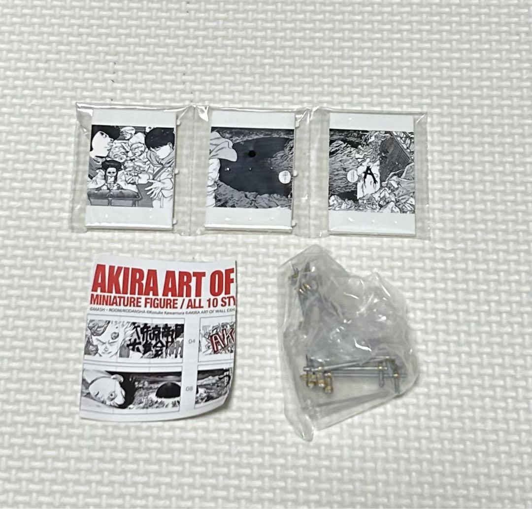 AKIRA ȥ֥롡̤ͧΡ顡??_1