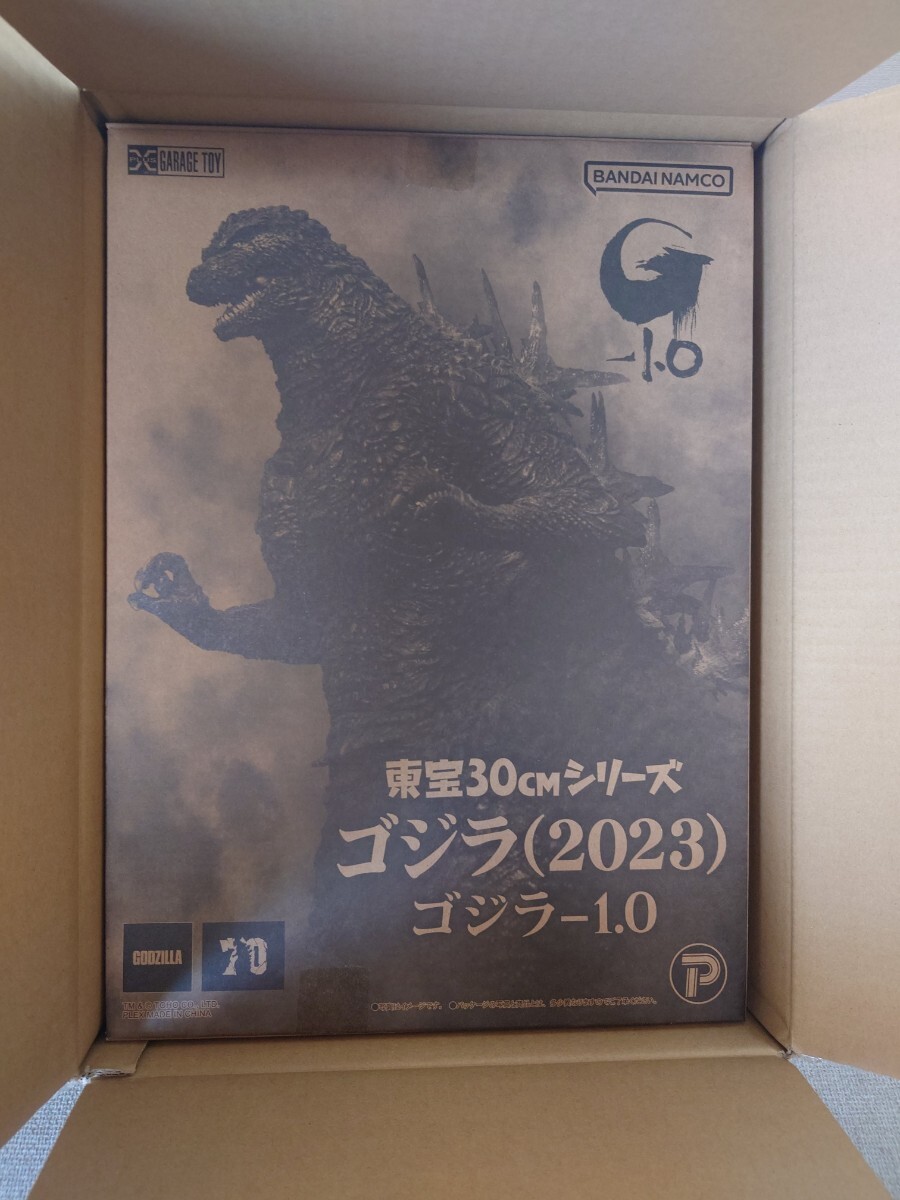  ̤ 30cm꡼ (2023) ץ饹 -1.0 ޥʥ_1