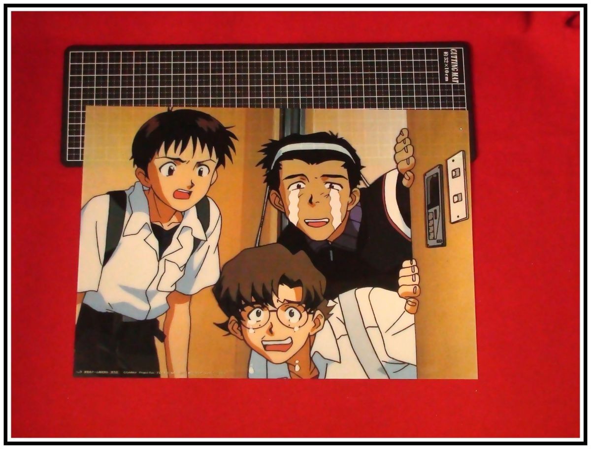 p9039إ١إ󥲥ꥪ(󥲥)Neon Genesis EVANGELIONanimation cel¶9ʡ_1