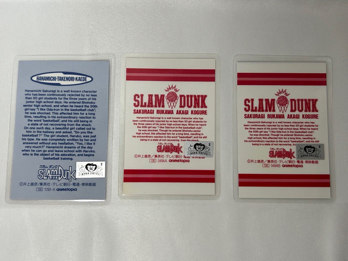 SLAMDUNK   ߥ͡ȥɡ3ʪ_2